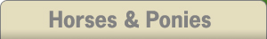 Horses & Ponies